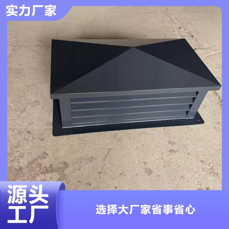 屋頂煙囪帽支持定制