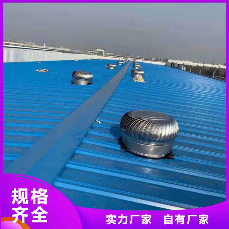 316L材質(zhì)無(wú)動(dòng)力風(fēng)帽實(shí)體大廠