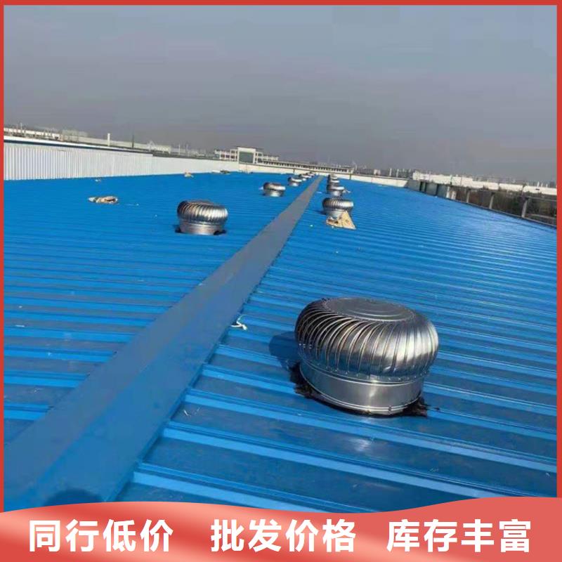 县烟道通风帽销售