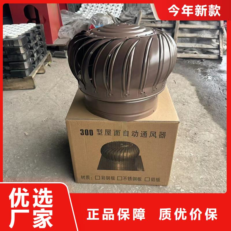 成品固定式烟囱帽现货充足
