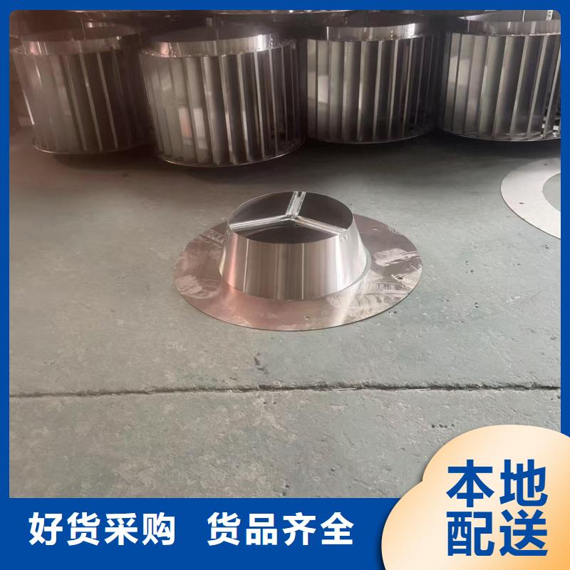縣F-FM-WM300離心式風(fēng)帽樓頂花園風(fēng)帽