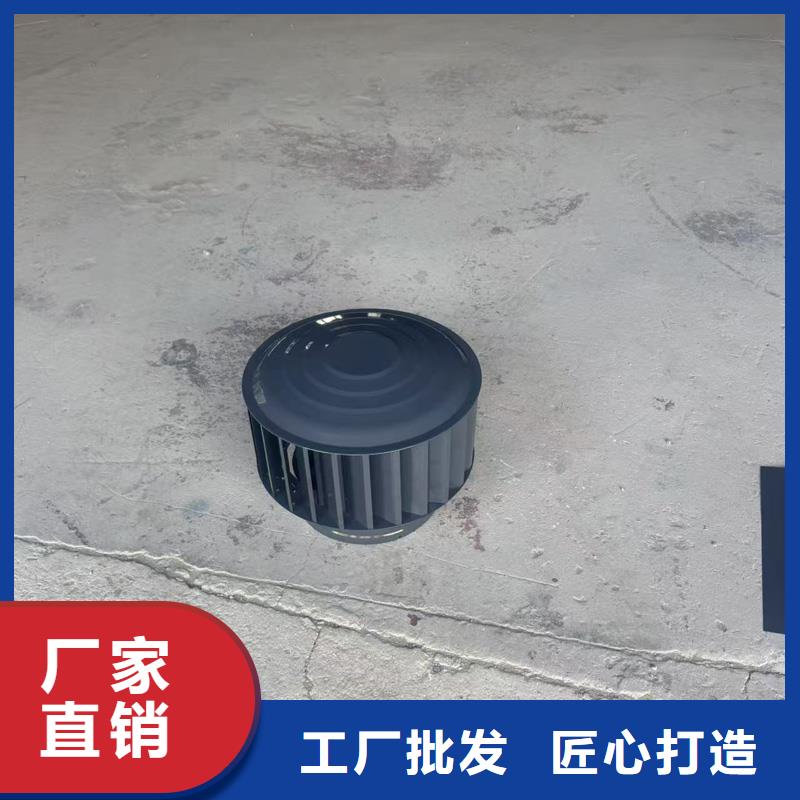 自力式风帽信息