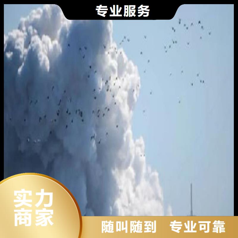 工程預(yù)算【投標(biāo)代理】技術(shù)可靠