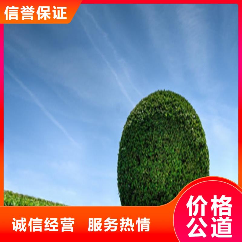 工程預(yù)算,BIM咨詢精英團(tuán)隊(duì)
