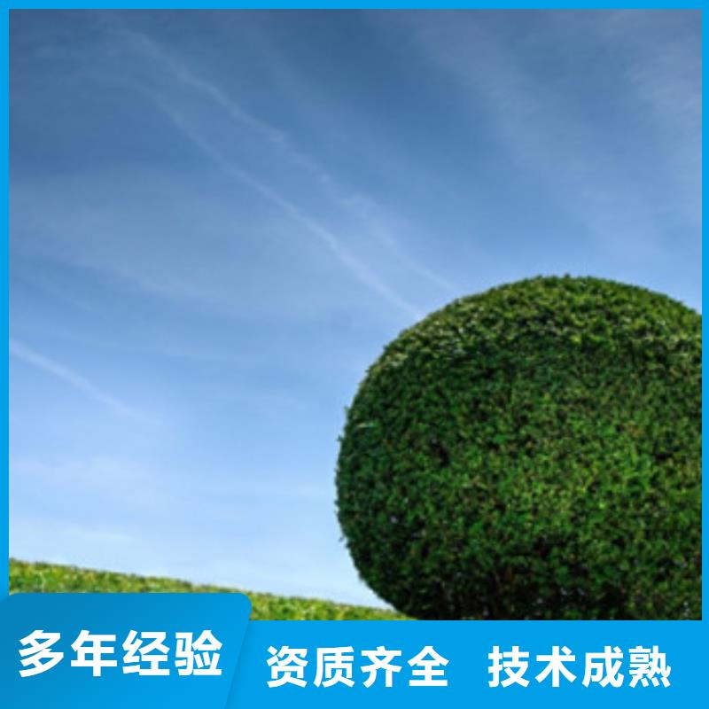 工程预算,做竣工结算2025公司