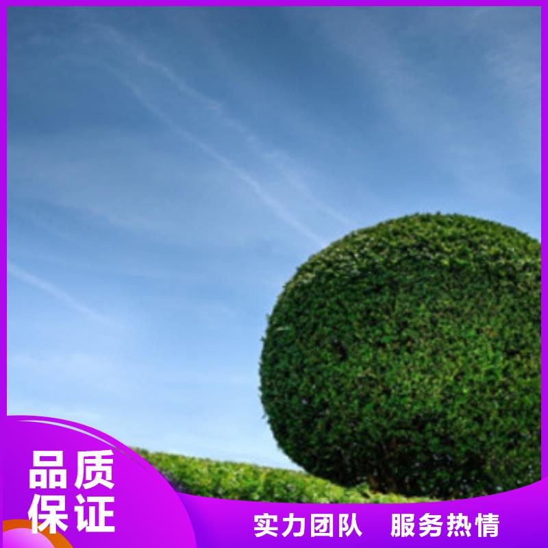 工程預(yù)算【施工圖預(yù)算】解決方案