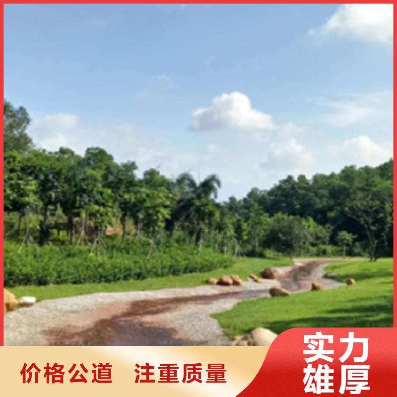 工程预算【【跟踪审计】】品质优