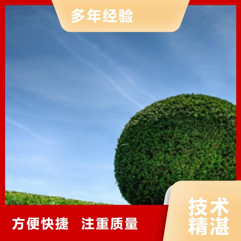 工程預算【做工程預算】服務(wù)熱情