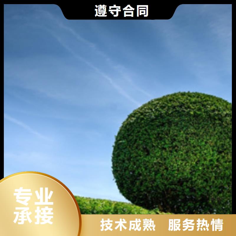 工程预算 标书制作品质保证