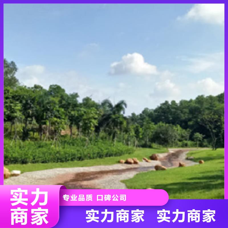 工程預(yù)算【跟蹤審計】售后保障