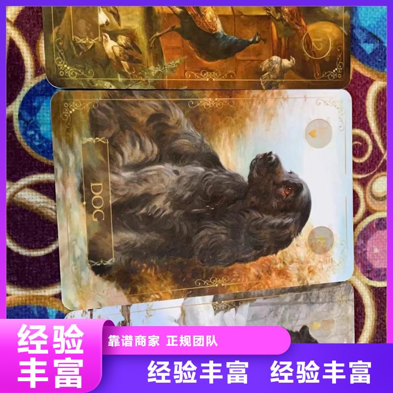 塔羅占卜解決方案