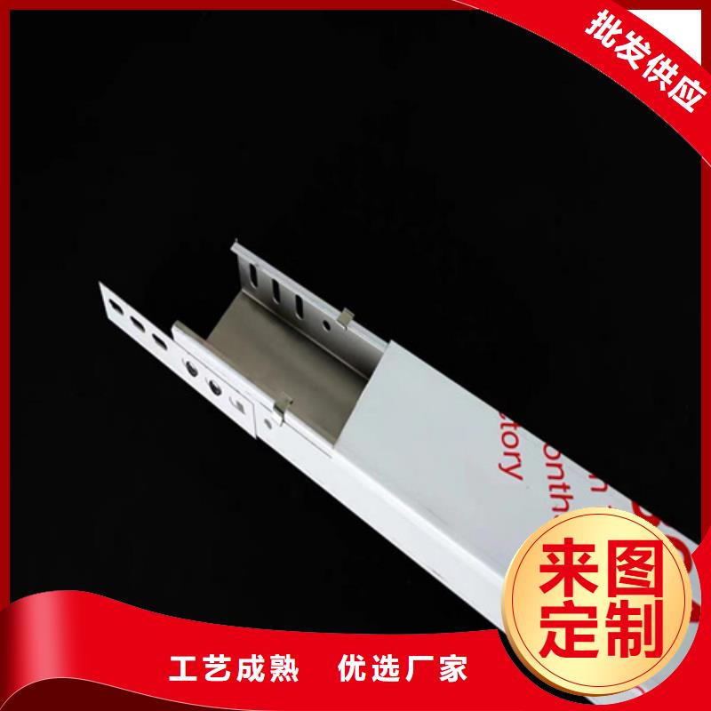 選2米長電纜橋架-實體廠家可定制