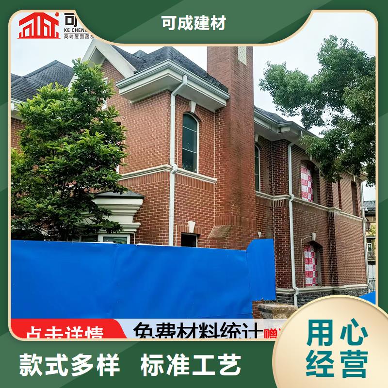 雨水管【仿古建筑飛椽】專業(yè)設(shè)計(jì)