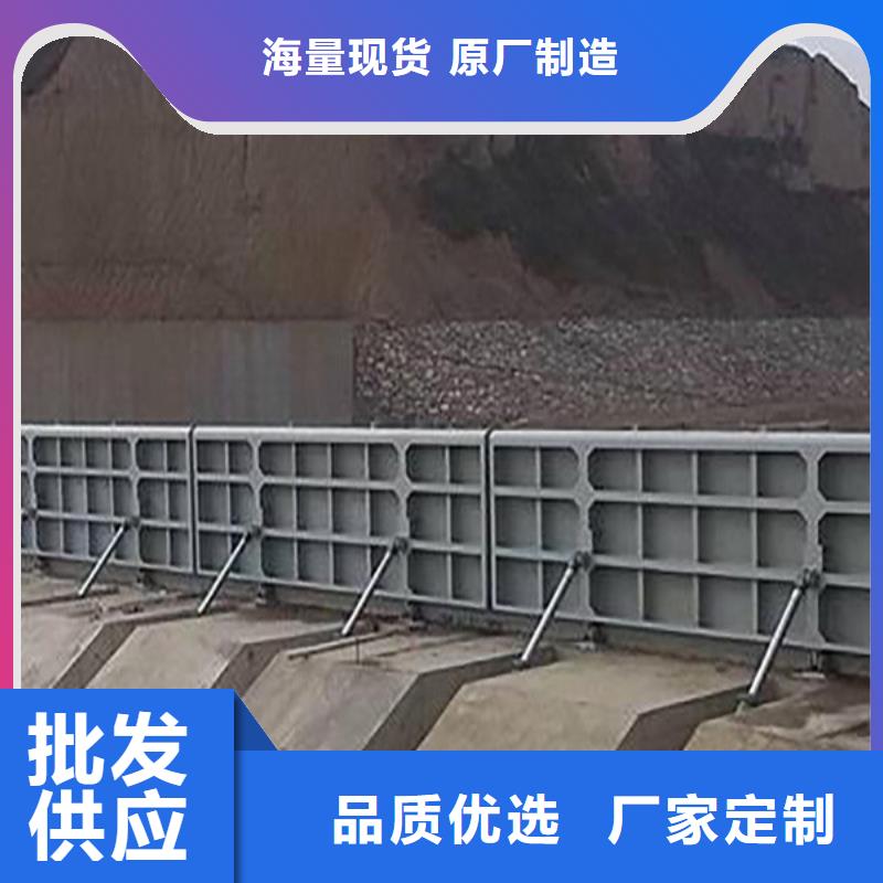 翻板閘門-【截流井閘門】經(jīng)驗(yàn)豐富質(zhì)量放心
