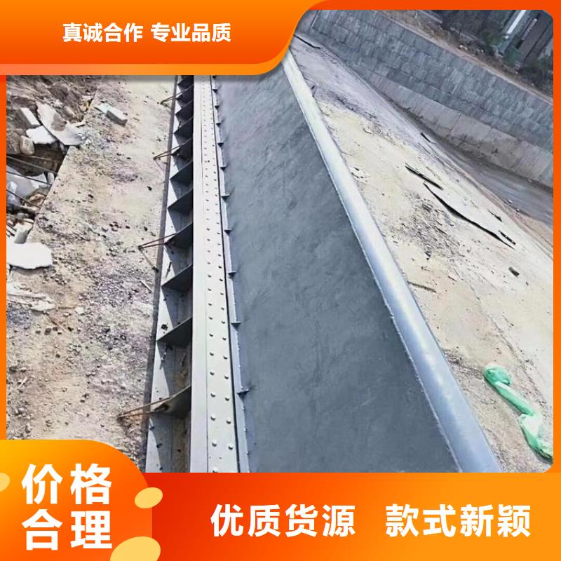 翻板閘門卷揚啟閉機質(zhì)量為本