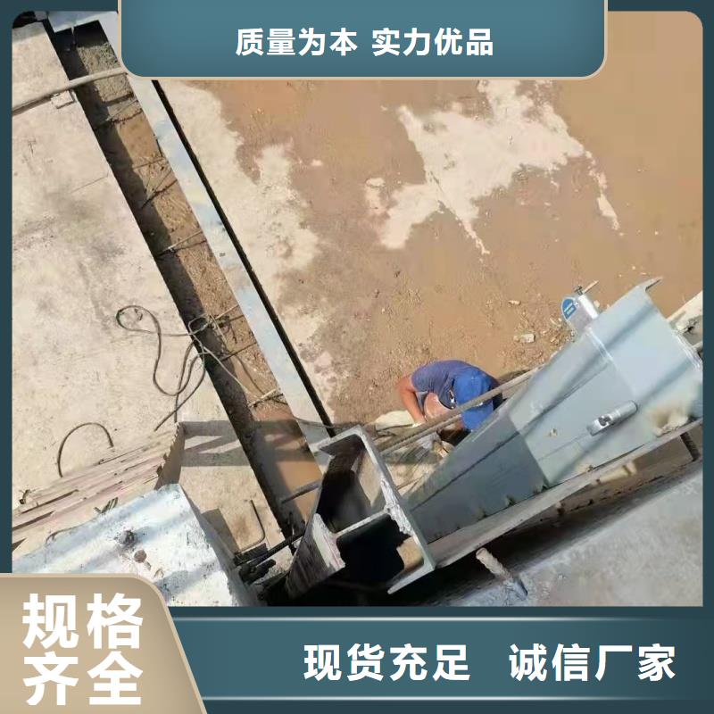 翻板闸门大型防腐钢坝质保一年