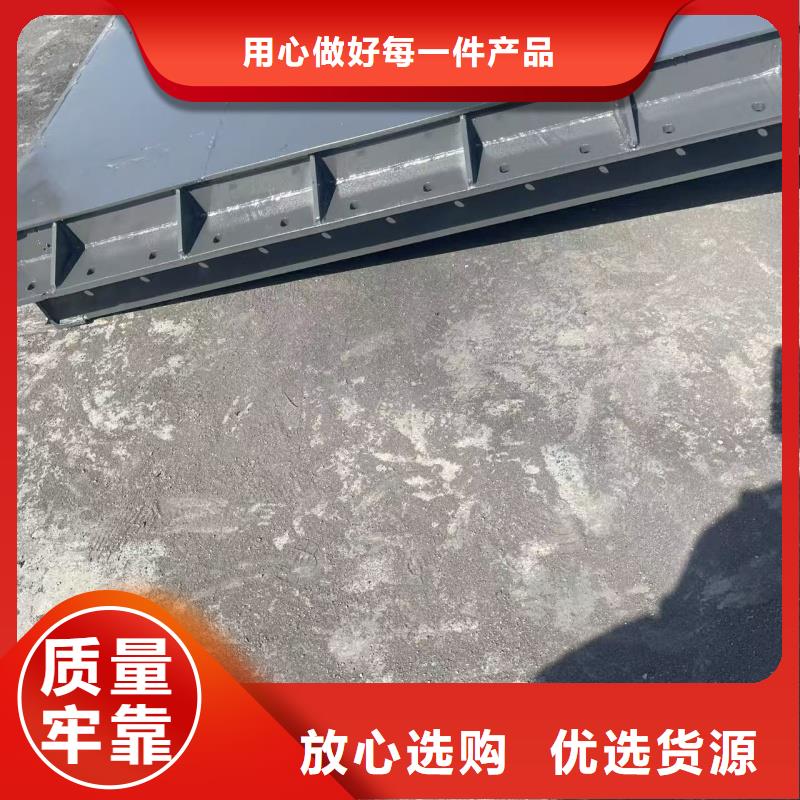 翻板闸门景观坝多年行业积累