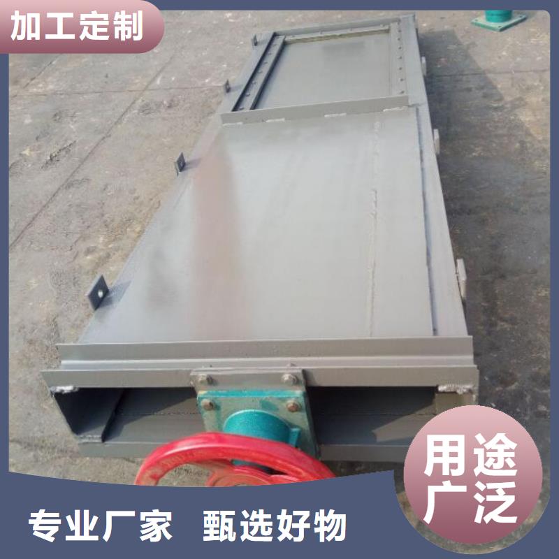 一體化泵站閘門