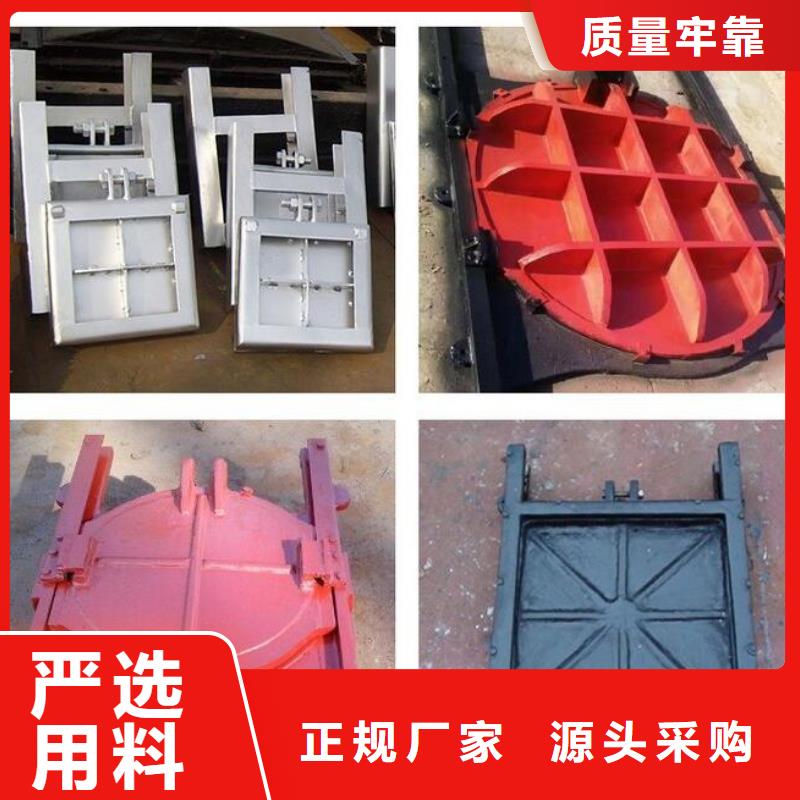 一體化泵站閘門