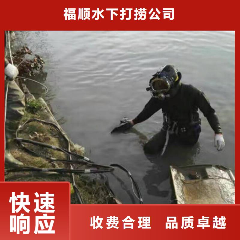 重慶市沙坪壩區(qū)魚塘打撈項(xiàng)鏈服務(wù)至上