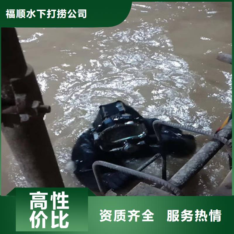 重慶市長(zhǎng)壽區(qū)魚塘打撈貔貅專業(yè)打撈團(tuán)隊(duì)