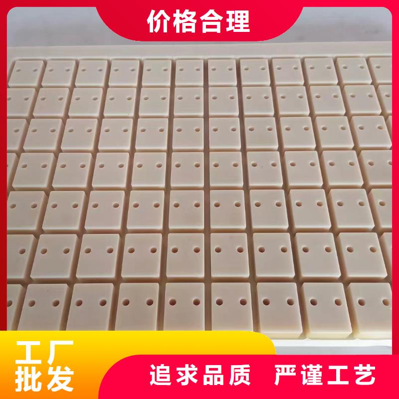 尼龍塊鑄造金品