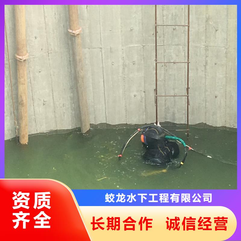 蛙人作业队伍-可送货上门