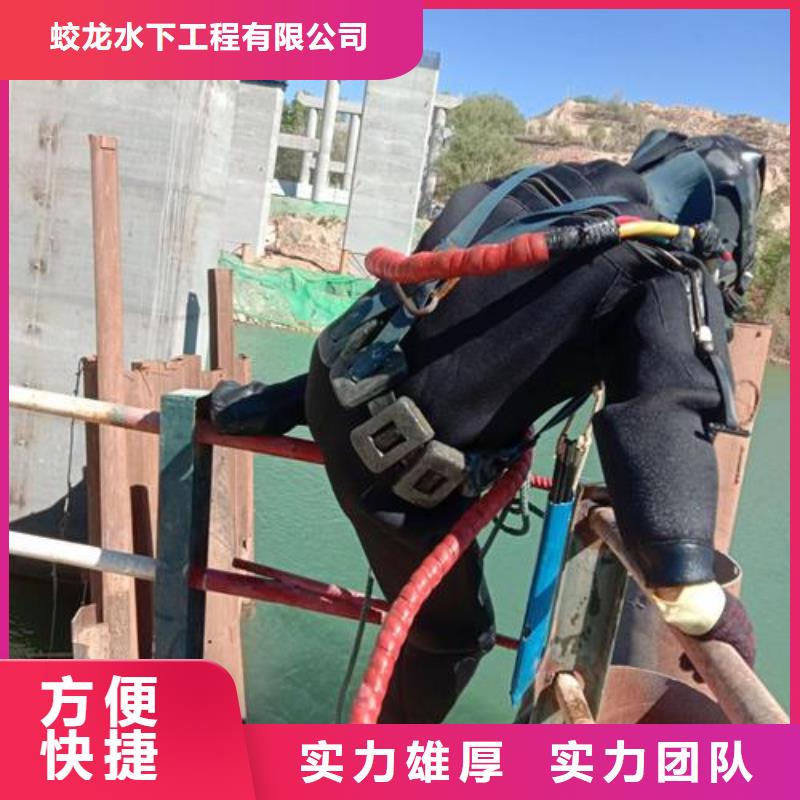 蛙人施工公司、蛙人施工公司生产厂家-认准苏龙水下工程有限公司