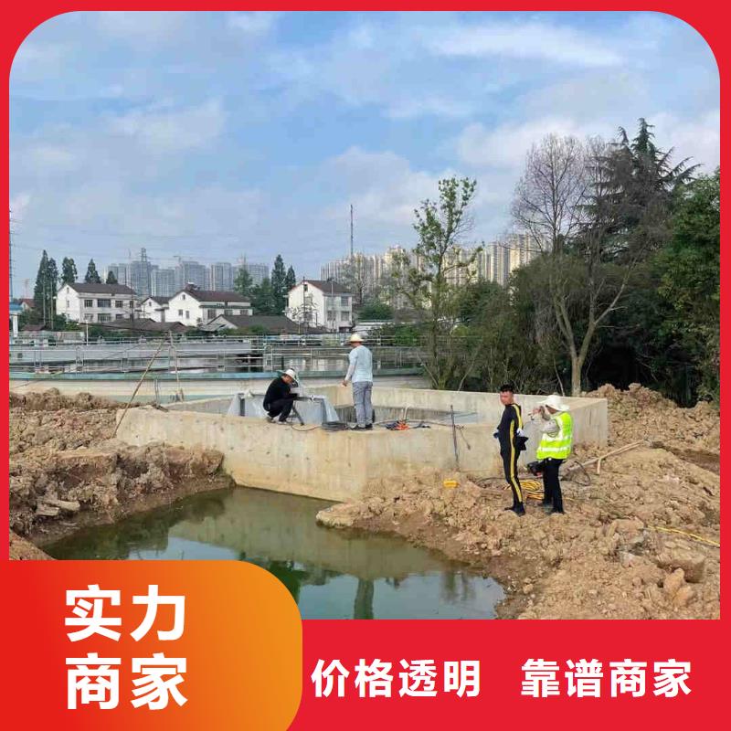 潛水服務(wù)公司水域檢查高性價比
