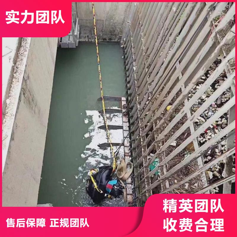 水下摄像录像公司品质优良