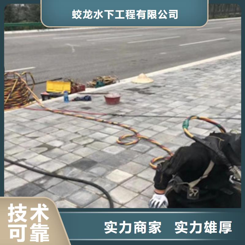 蛙人作業(yè)隊(duì)伍本地供貨商