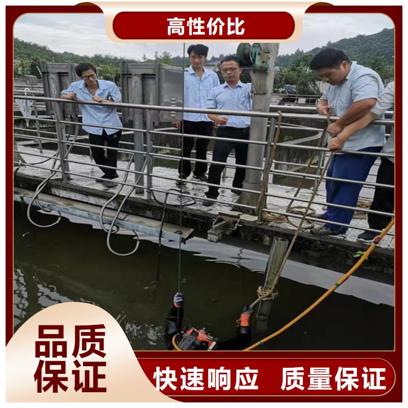 潛水服務(wù)公司水下照相服務(wù)案例豐富