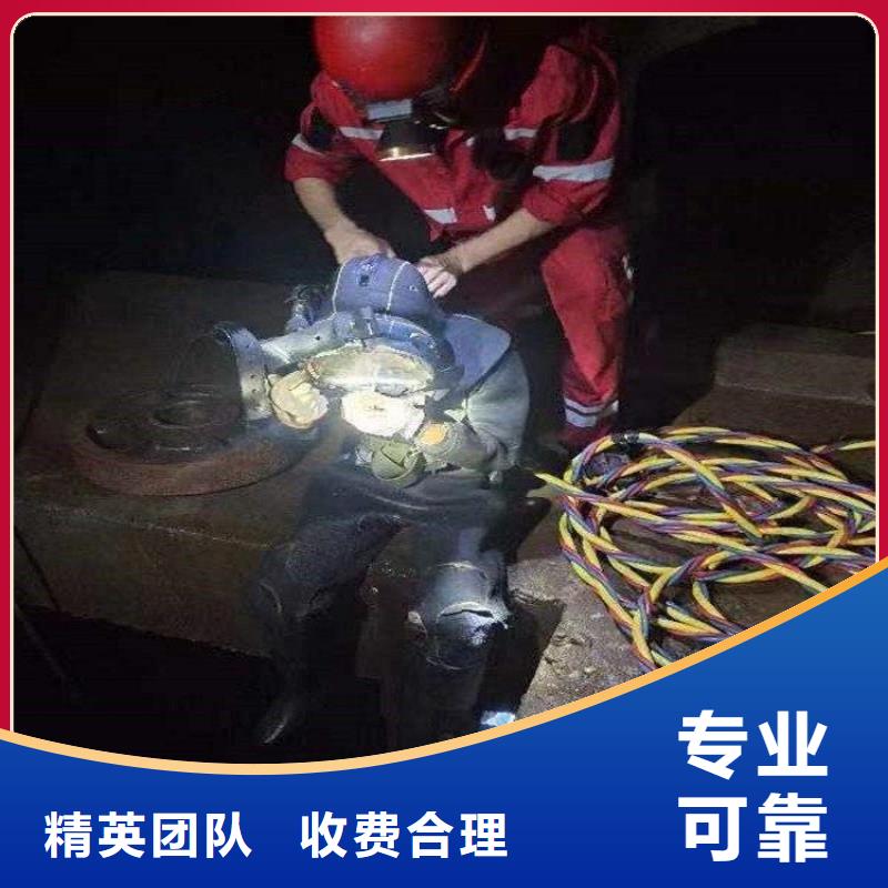 現(xiàn)貨供應(yīng)水下檢查公司_精選廠家