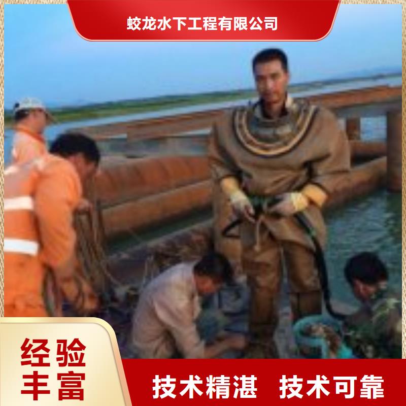 现货供应蛙人作业队伍_厂家/供应