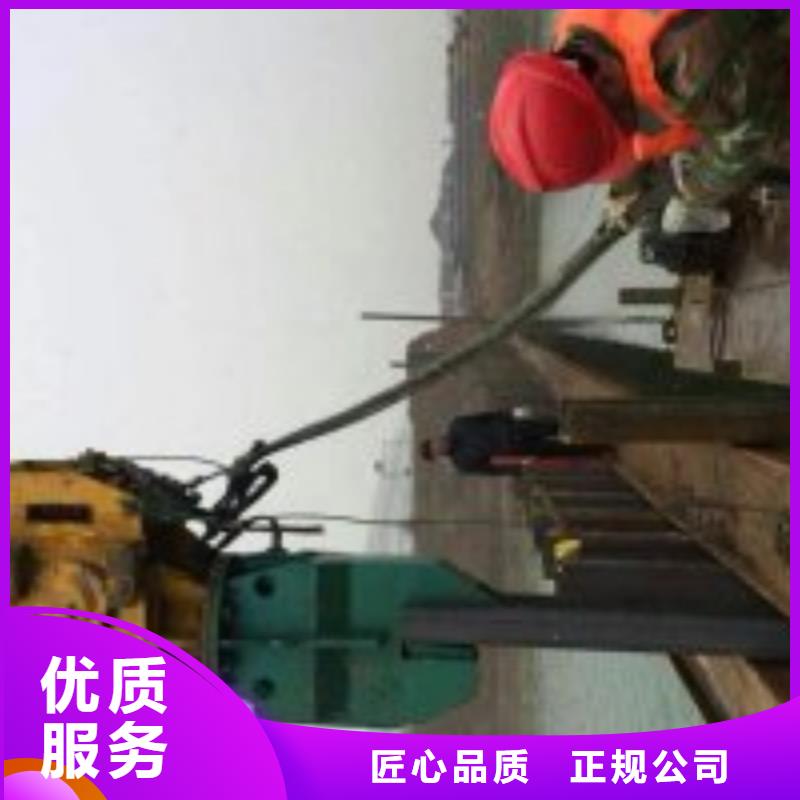 蛙人施工公司实地厂家