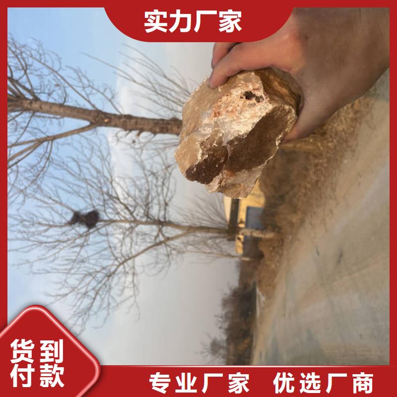 石英砂聚丙烯酰胺助凝劑專注細(xì)節(jié)專注品質(zhì)