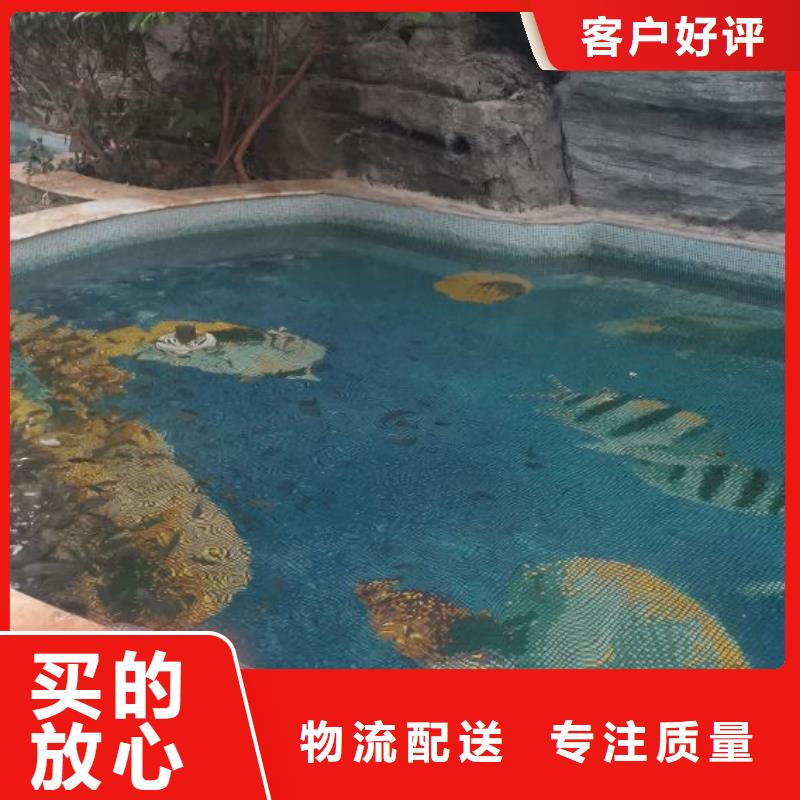 泳池设备施工视频-千山|立山|抚顺|锦州|沈阳|盘锦|本溪水浦蓝泳池设备施工_ 水浦蓝物联网智慧水设备(鞍山市分公司)