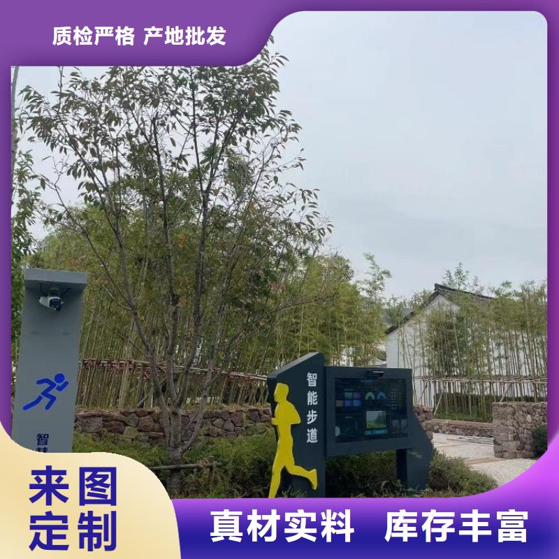智慧ai智慧步道实力工厂