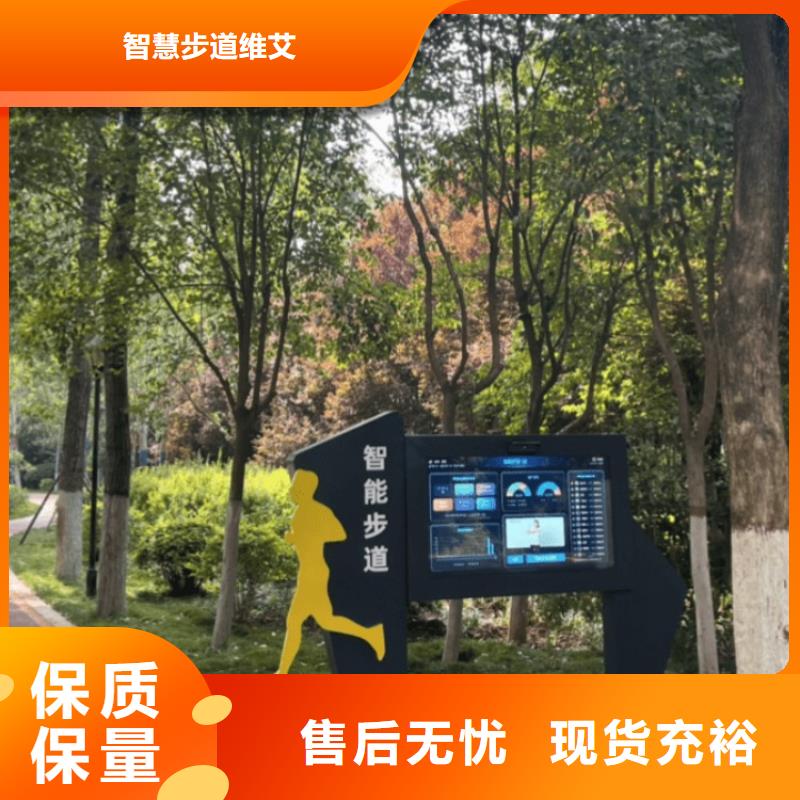 智慧,ai虛擬騎行單車多種工藝