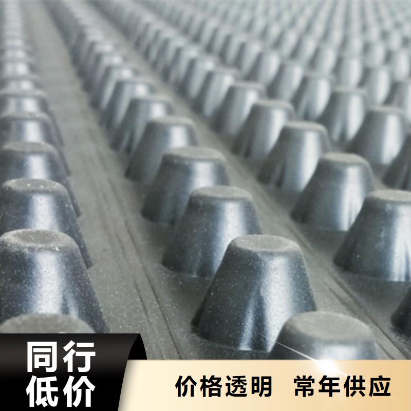 排水板水泥化粪池多种规格供您选择