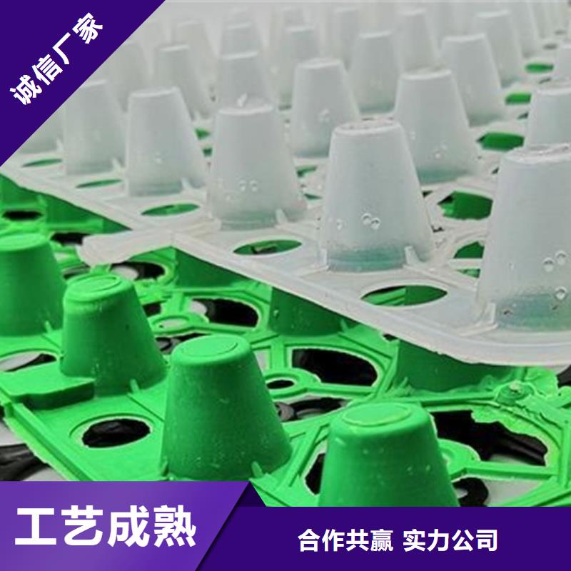 塑料排水板本地行情价
