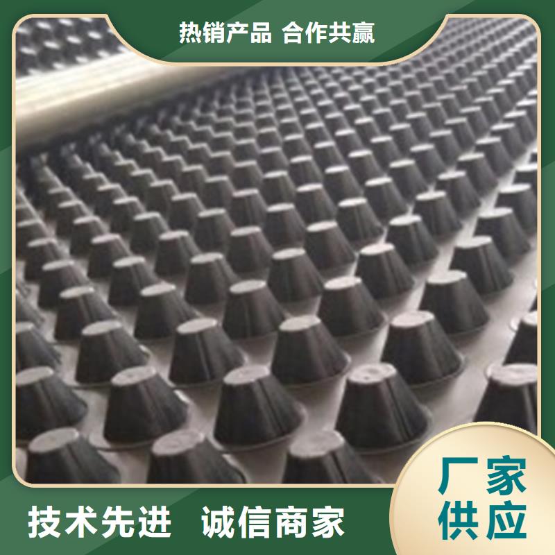排水板水泥化粪池款式新颖