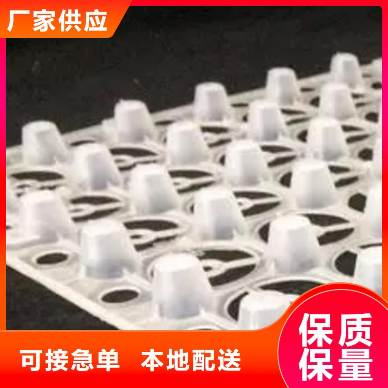 蓄排水板新聞2025