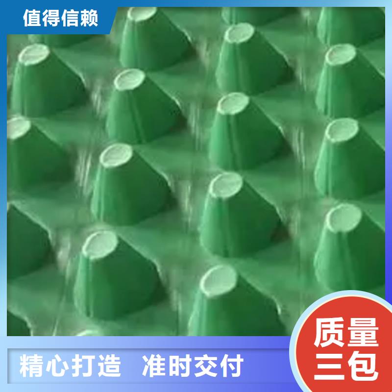 排水板-水泥化糞池支持批發(fā)零售