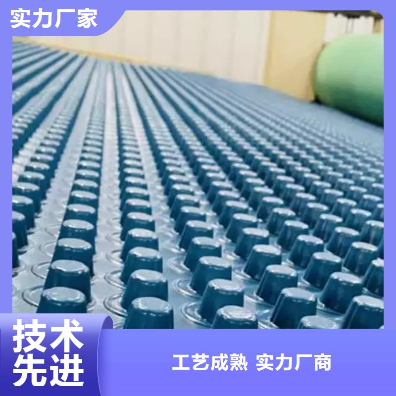 塑料排水板欢迎电询