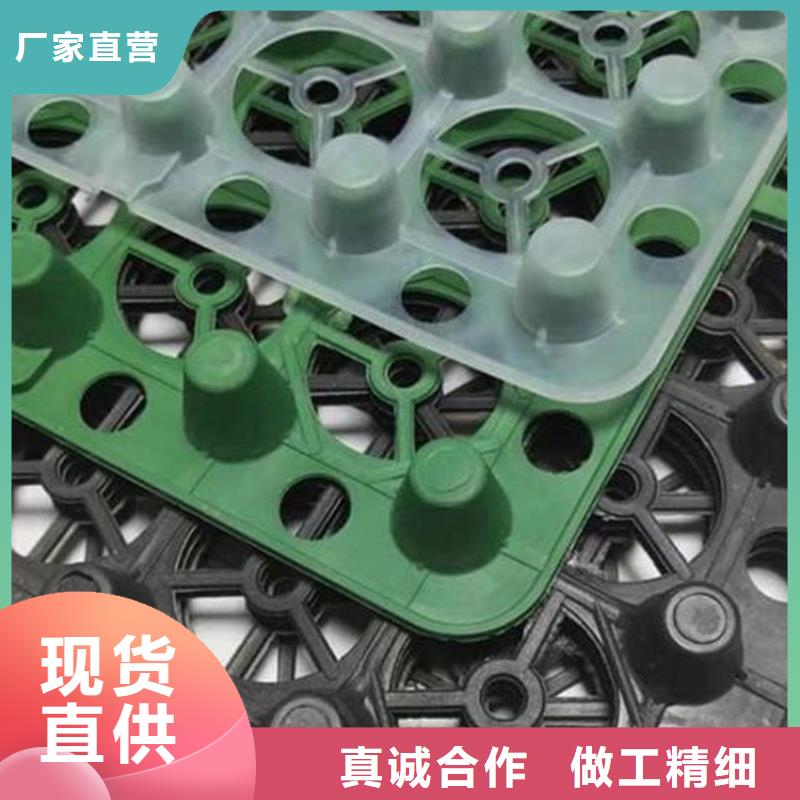 排水板_植草格現(xiàn)貨銷售