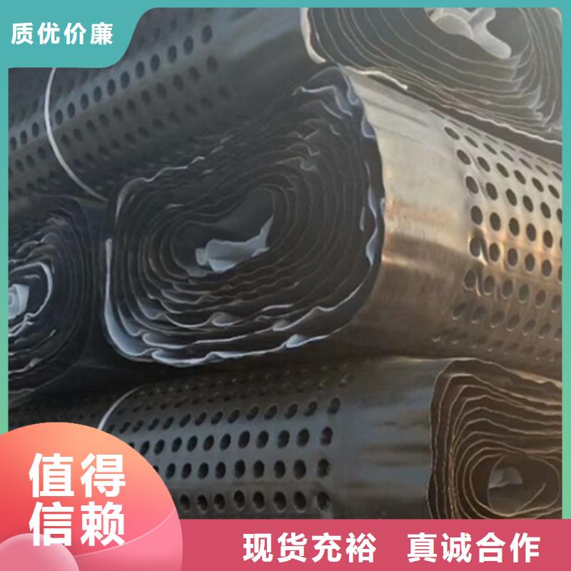 車庫(kù)排水板生產(chǎn)廠家朋聯(lián)