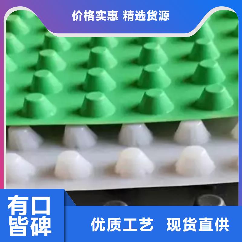 排水板价格公道合理