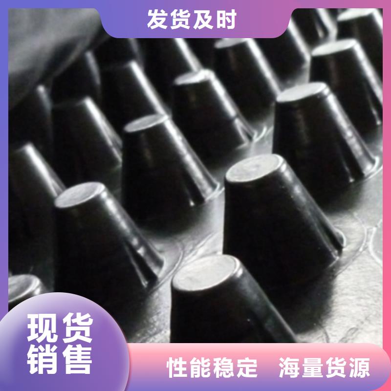 排水板防護(hù)虹吸排水收集系統(tǒng)現(xiàn)貨充足