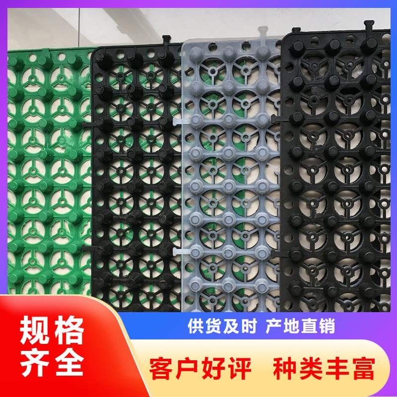 排水板价格公道合理